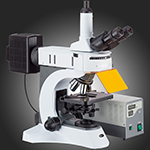 EPI Fluorescentni mikroskop