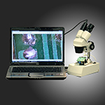 Stereo mikroskop 80X MICRO-S3